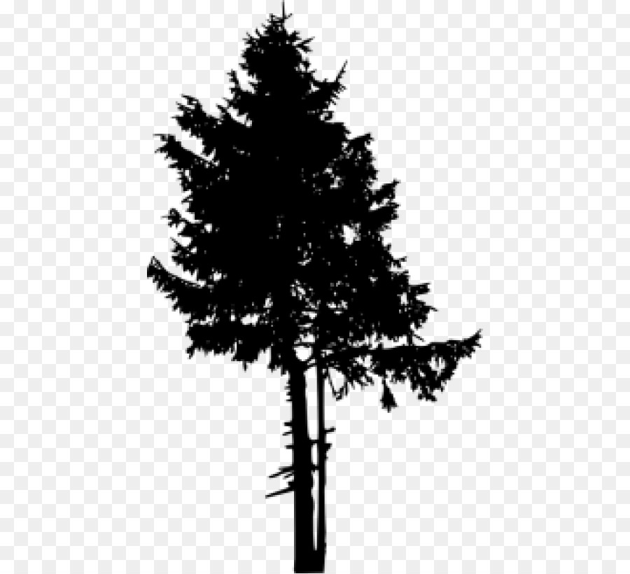 Pine Portable Network Graphics Clip art Silhouette Tree - christmas tree silhouette png black png download - 480*819 - Free Transparent Pine png Download.