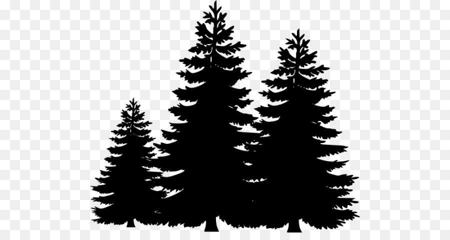 Evergreen Trees Silhouette