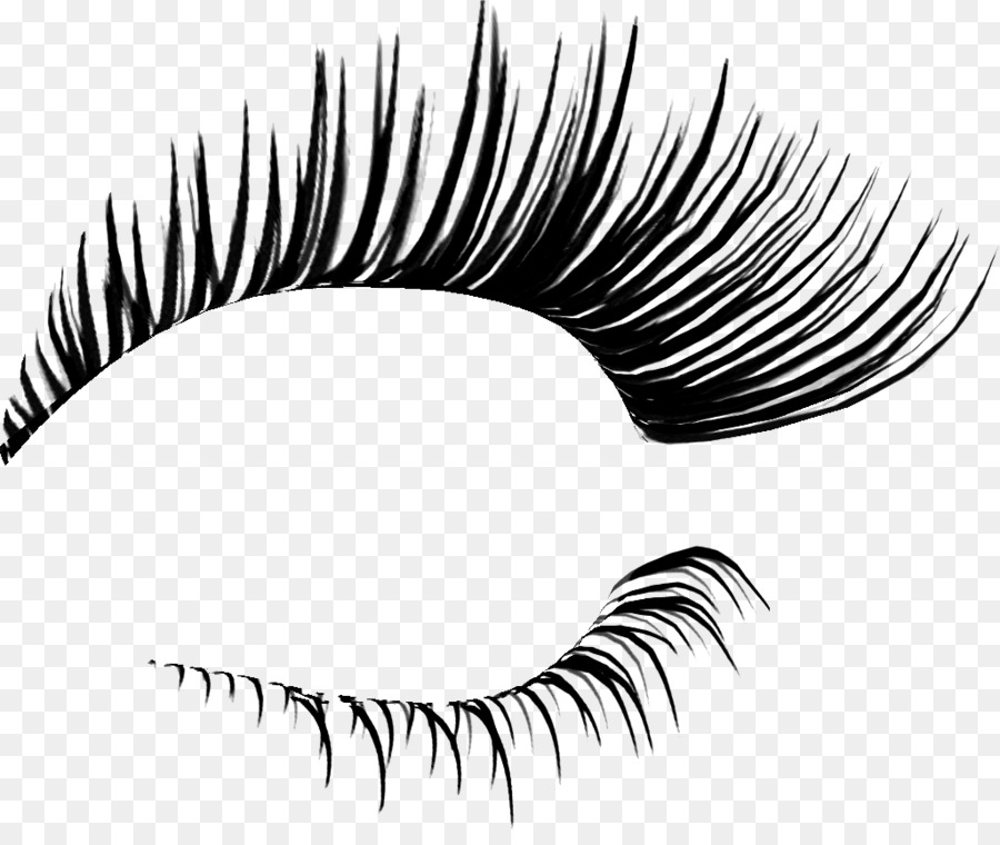 Eyelash extensions Cosmetics Clip art - eyelashes png download - 1025*851 - Free Transparent  png Download.
