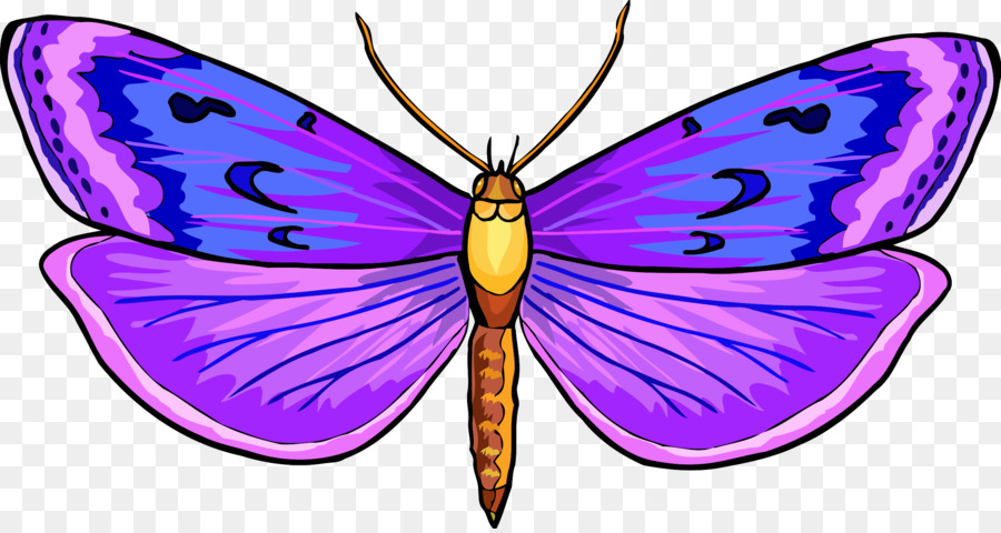 Monarch butterfly Drawing Insect Clip art - butterfly png download - 2400*1268 - Free Transparent Butterfly png Download.