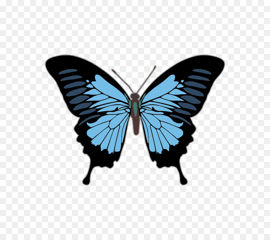 Lower-back tattoo Butterfly Design Fairy T-Shirt - butterfly png download - 800*800 - Free Transparent Tattoo png Download.