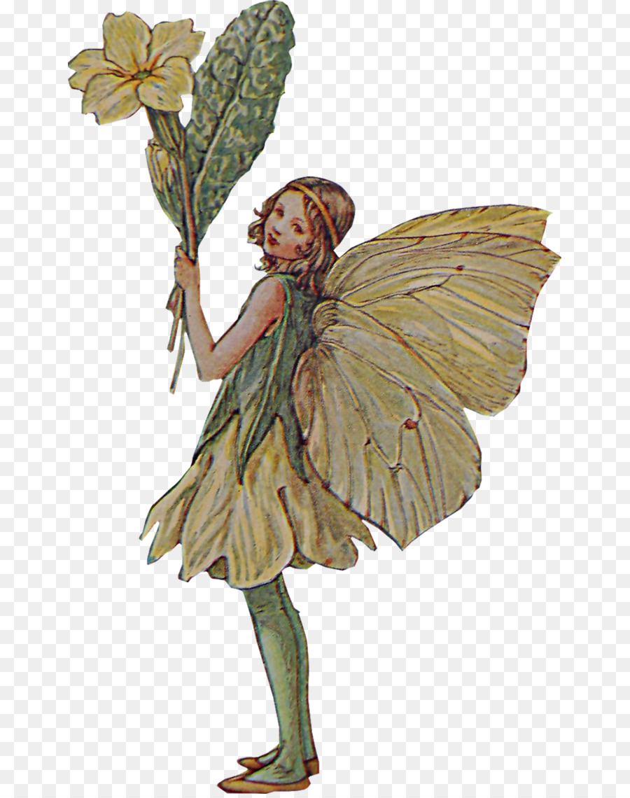Fairy The book of the flower fairies Pixie - Fairy png download - 705* ...