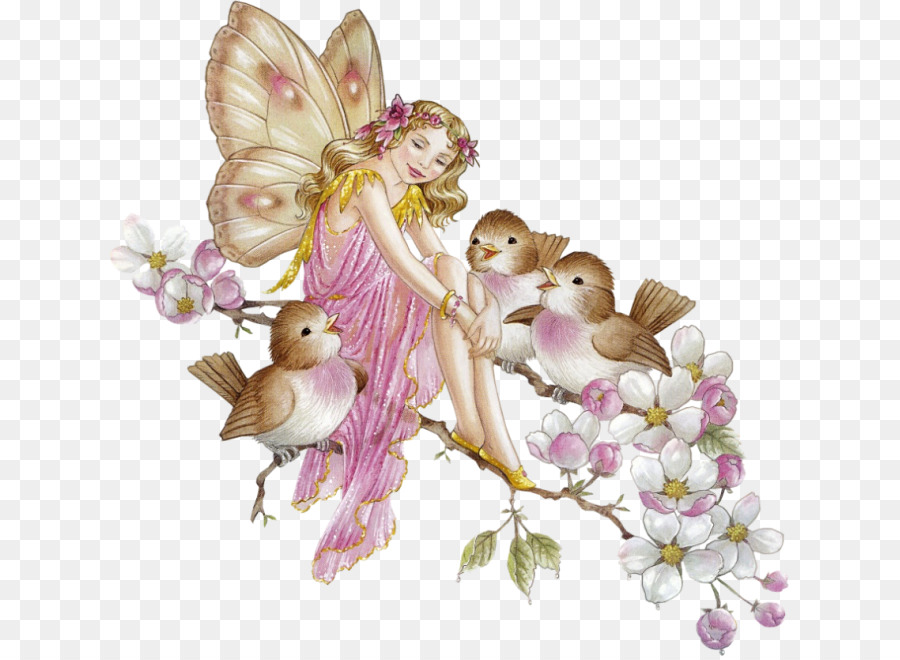 Fairy Flower Fairies - Fairy Transparent PNG png download - 679*656 - Free Transparent Fairy png Download.