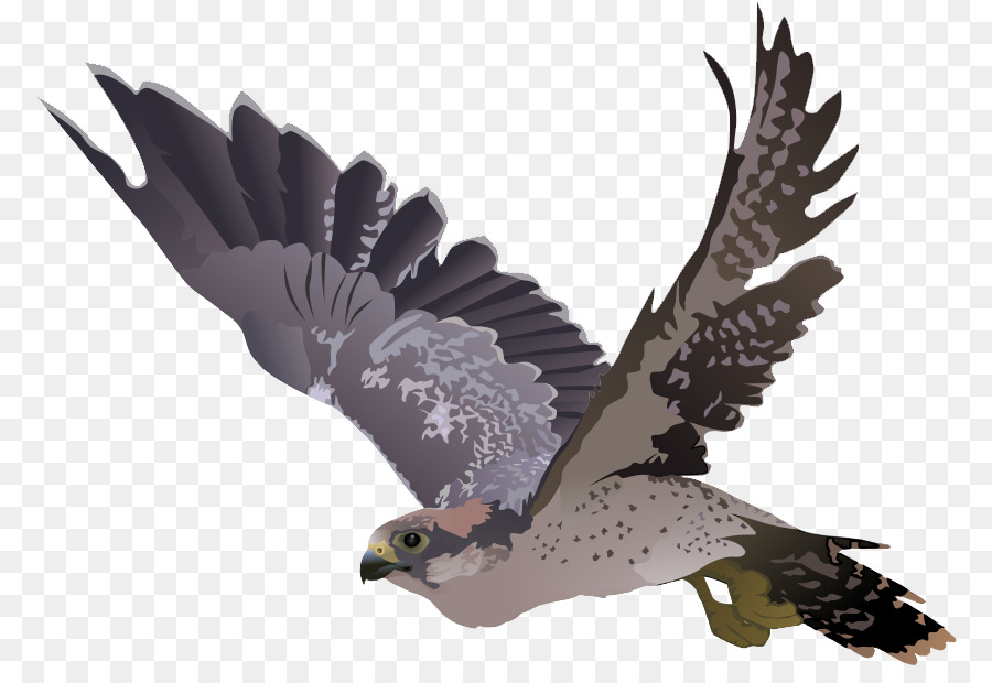 Portable Network Graphics Clip art Transparency Falcon Image - environmental commitment cartoon png yhs falcons png download - 837*604 - Free Transparent Falcon png Download.