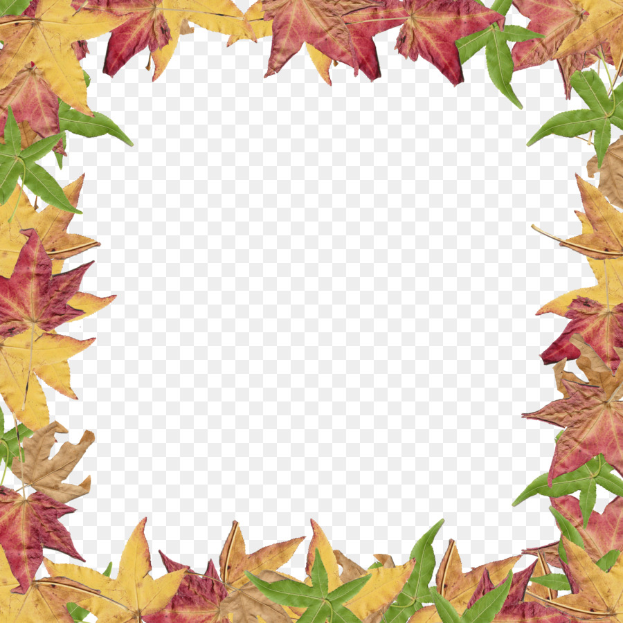 Autumn leaf color Clip art - Border Leaves Cliparts png download - 2400*2400 - Free Transparent Autumn png Download.