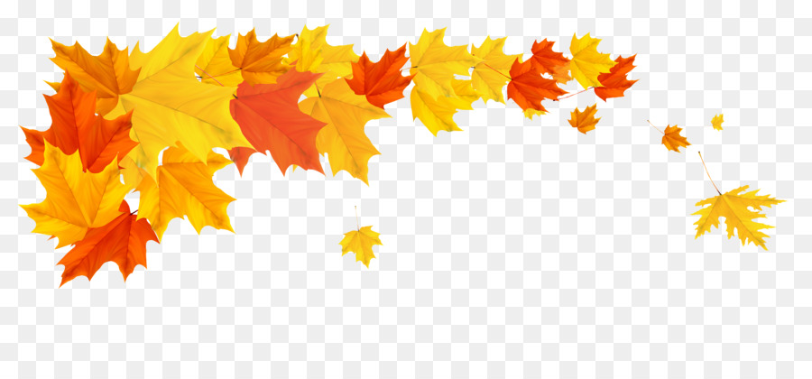 Autumn Desktop Wallpaper Clip art - leaves border png download - 3245*1449 - Free Transparent Autumn png Download.