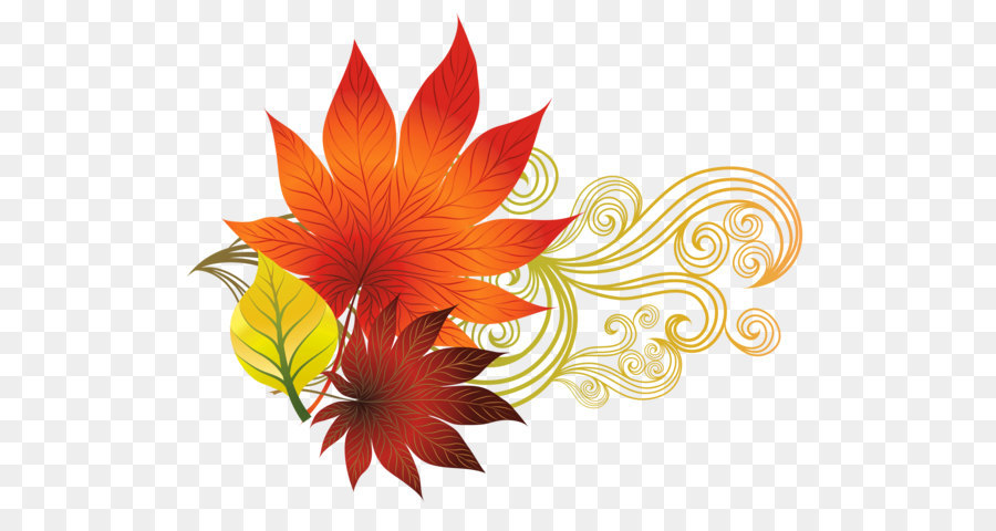 Autumn leaf color Clip art - Fall Leaves Decoration PNG Clipart Picture png download - 3525*2581 - Free Transparent Autumn png Download.