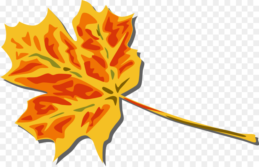 Autumn leaf color Clip art - Free Leaf Clipart png download - 1000*642 - Free Transparent Autumn png Download.