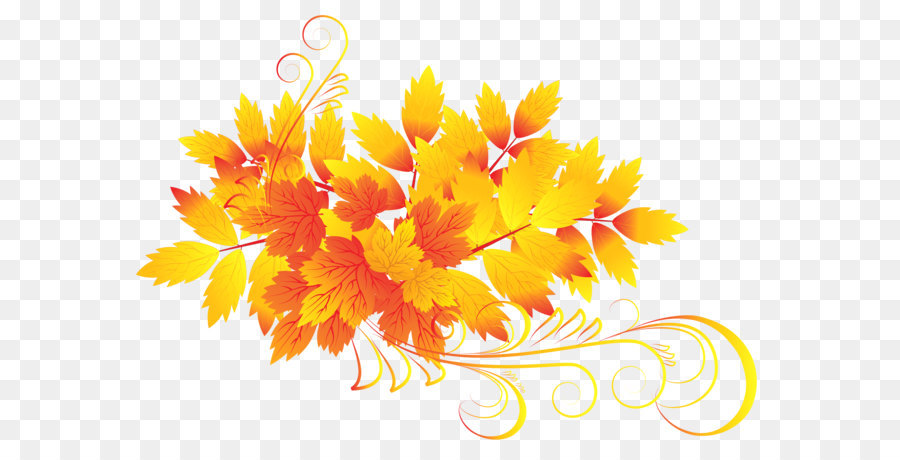 Autumn leaf color Clip art - Autumn Leaves PNG Clipart png download - 6424*4450 - Free Transparent Autumn Leaf Color png Download.