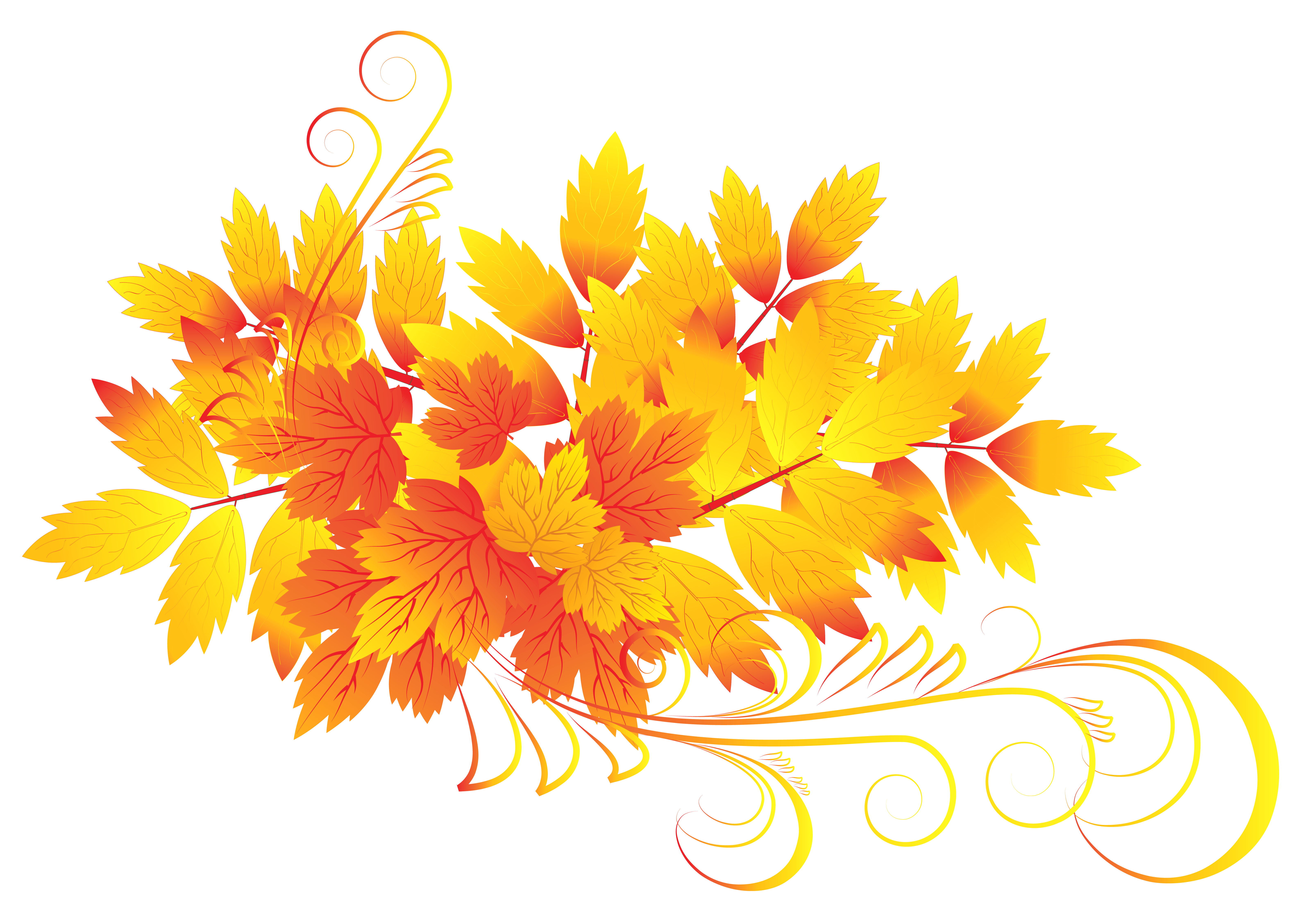 Autumn leaf color Clip art - Autumn Leaves PNG Clipart png download ...