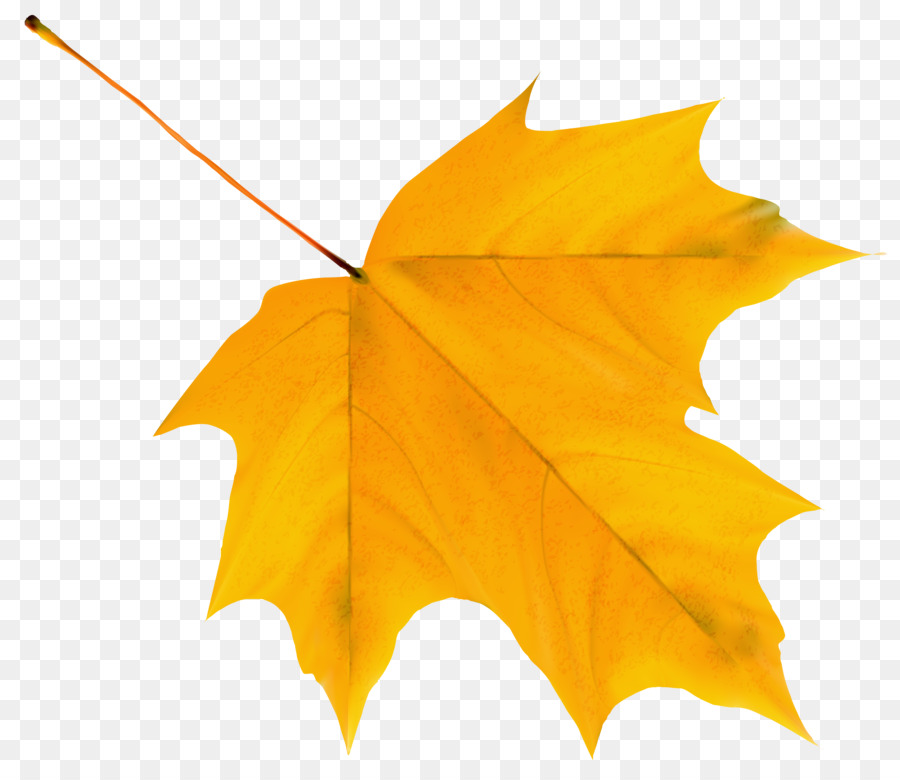 Autumn Leaves Leaf Clip art - Realistic Autumn Fall Leaves PNG png ...
