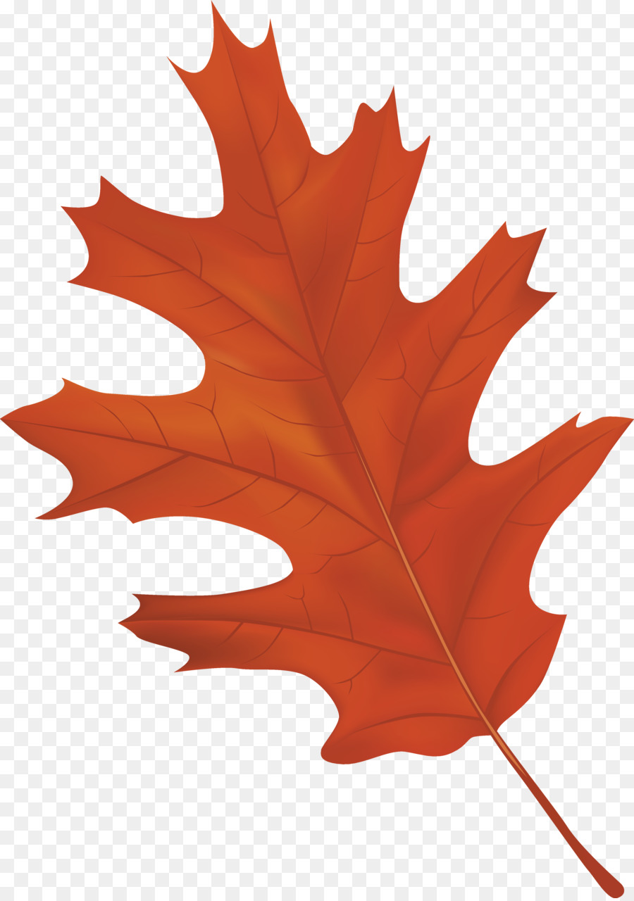 Autumn leaf color Clip art - autumn leaves png download - 3735*5295 - Free Transparent Autumn Leaf Color png Download.