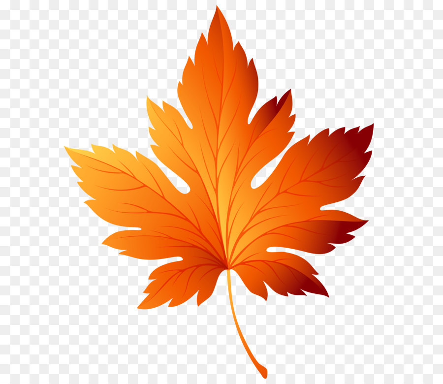 Autumn leaf color Clip art - Autumn Leaf Transparent PNG Clip Art Image png download - 5839*7000 - Free Transparent Autumn Leaf Color png Download.
