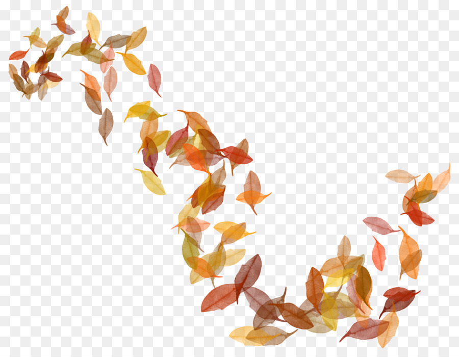 Autumn leaf color Clip art - autumn leaves png download - 2292*1777 - Free Transparent Leaf png Download.