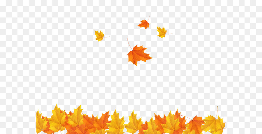 Autumn Leaf Clip art - Fall maple leaves background image png download - 3508*2480 - Free Transparent Leaf png Download.