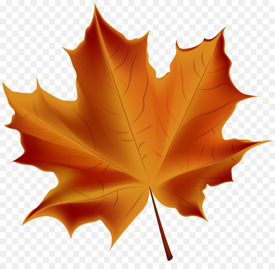 Autumn leaf color Clip art - autumn leaves png download - 7000*6697 - Free Transparent Autumn Leaf Color png Download.