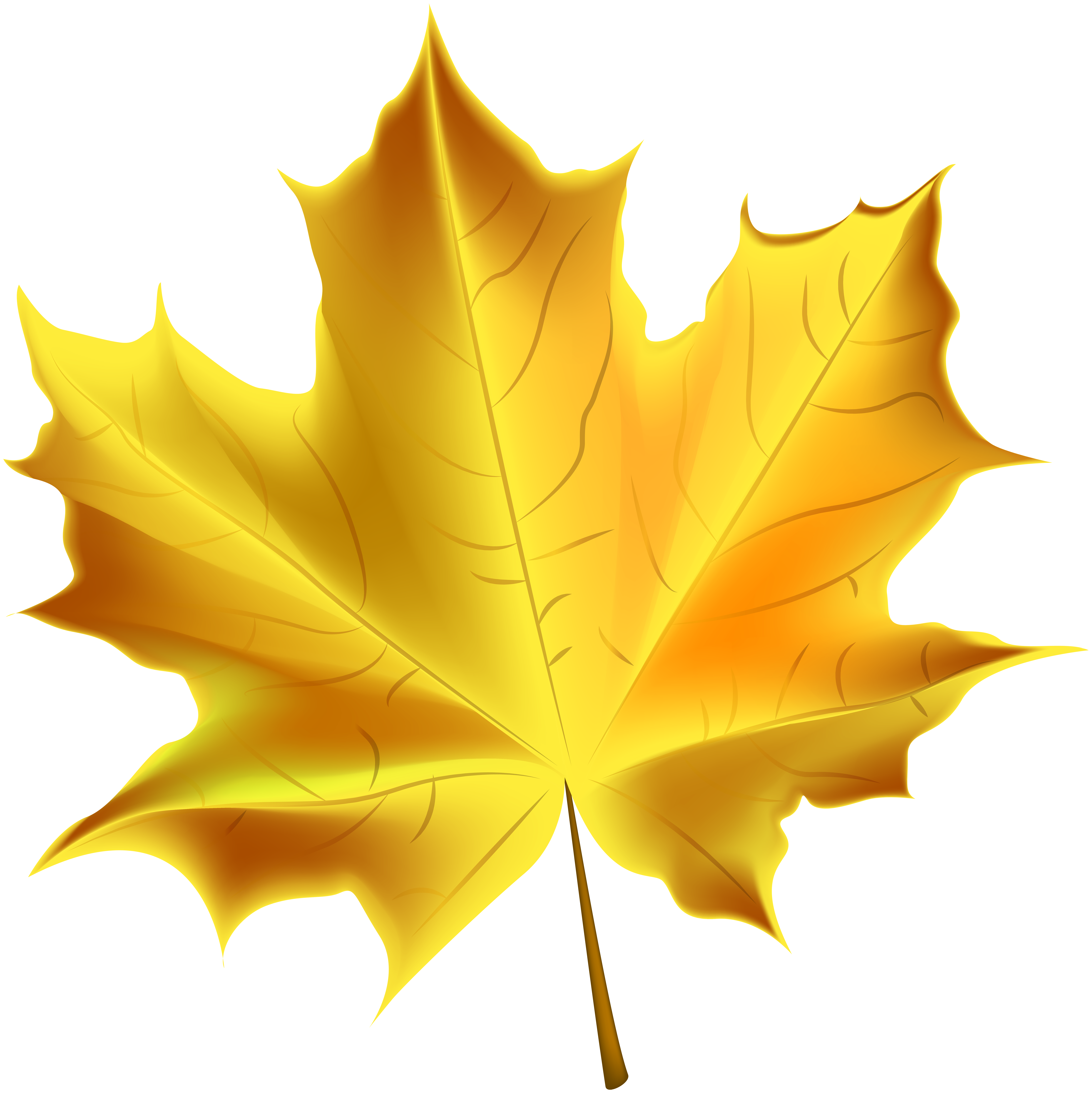 Золотистый листок. Осенние листочки. Кленовый лист. Желтый лист. Кленовые листочки.