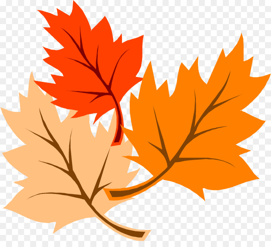 Autumn leaf color Clip art - Beautiful Autumn Cliparts png download - 1024*912 - Free Transparent Leaf png Download.