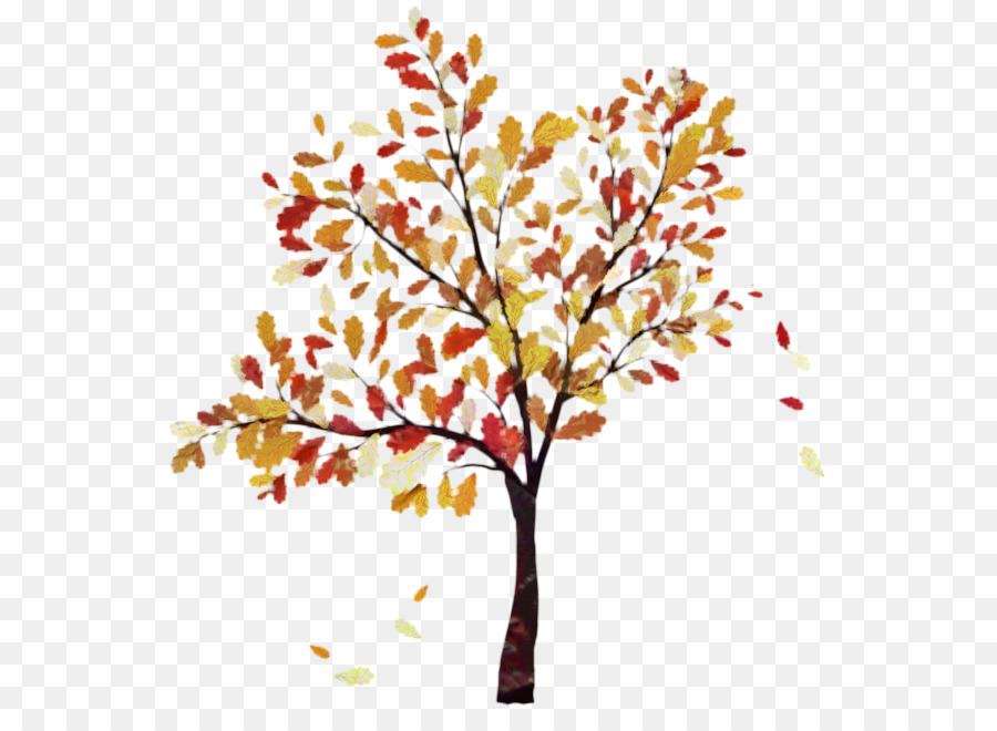 Fall Tree Vector graphics Oak Clip art -  png download - 650*650 - Free Transparent Tree png Download.