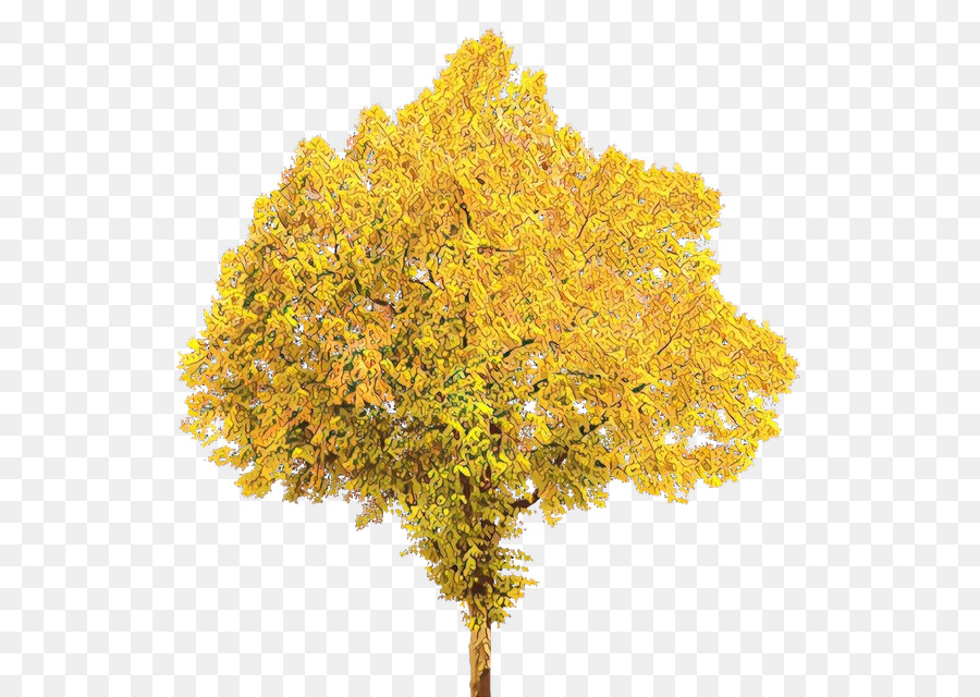 Fall Tree Portable Network Graphics Clip art Autumn -  png download - 639*640 - Free Transparent Tree png Download.