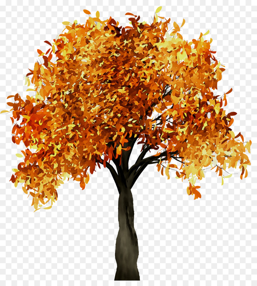 Fall Tree Branch Portable Network Graphics Trunk -  png download - 1754*1912 - Free Transparent Tree png Download.