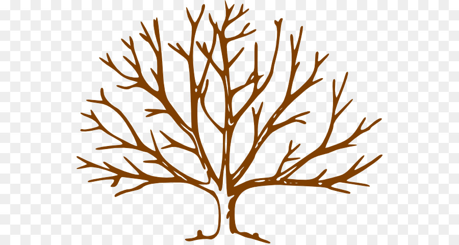 Tree Clip art - Fall Trees Clipart png download - 600*477 - Free Transparent Tree png Download.