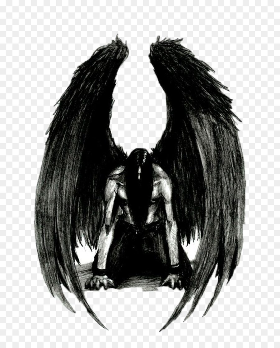 Fallen angel Drawing Azrael Lucifer - angel png download - 800*1106 - Free Transparent Fallen Angel png Download.