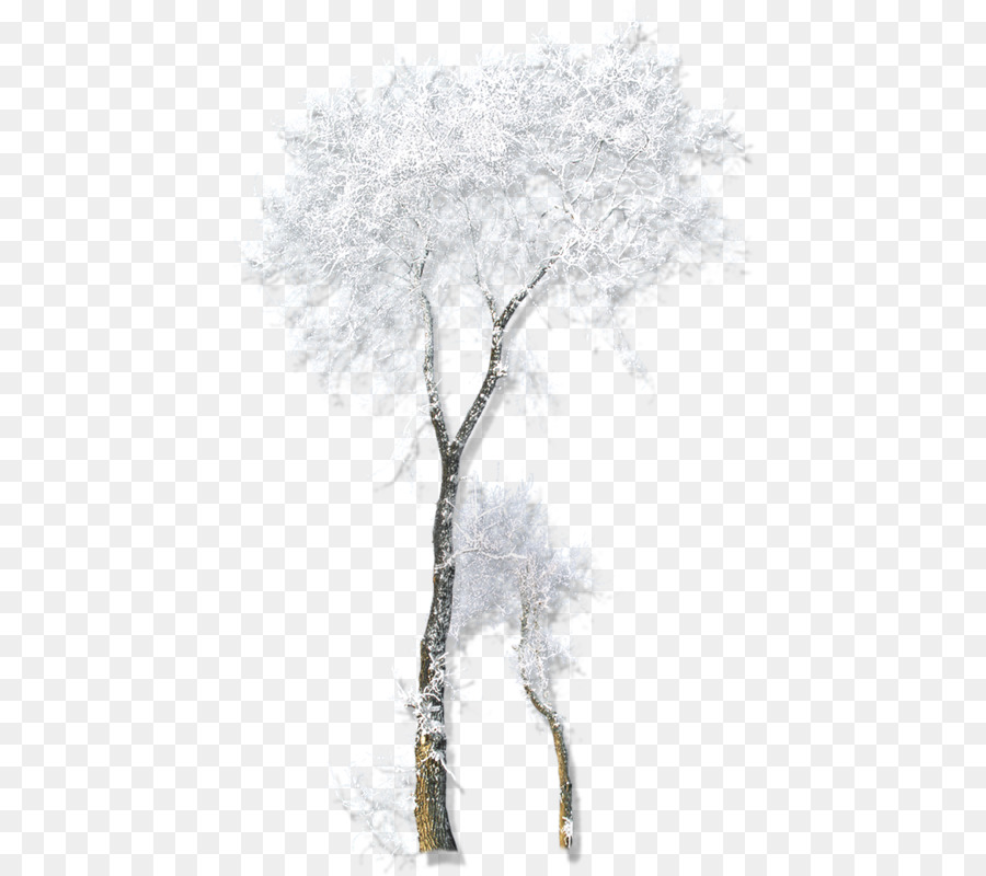 Twig Drawing Winter Belvedere Vodka - snow tree png download - 491*800 - Free Transparent Twig png Download.