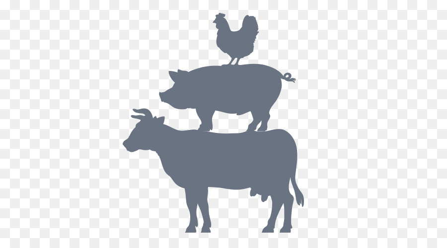 Cattle Pig Livestock Farm Agriculture - farm animals png download - 500*500 - Free Transparent Cattle png Download.