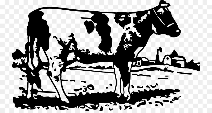 Jersey cattle Milk Farm Dairy cattle Clip art - milk png download - 800*472 - Free Transparent Jersey Cattle png Download.