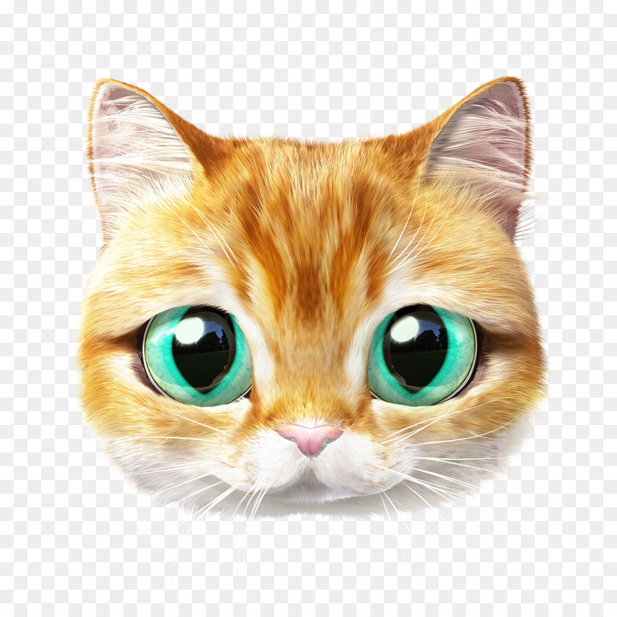 Fan art Cat YouTube Drawing - lazy fat cat png download - 1200*1200 - Free Transparent Art png Download.
