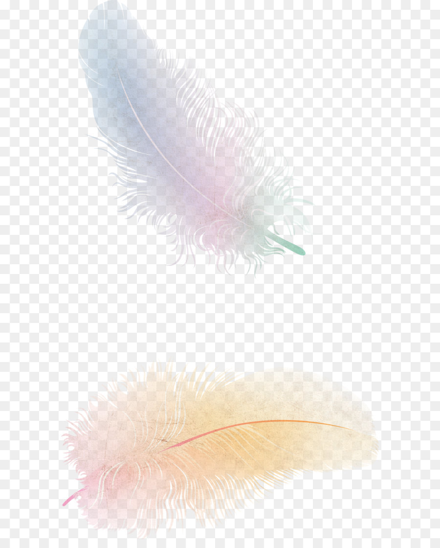 The Floating Feather Flight Bird - Feather PNG png download - 1929*3278 - Free Transparent Bird png Download.