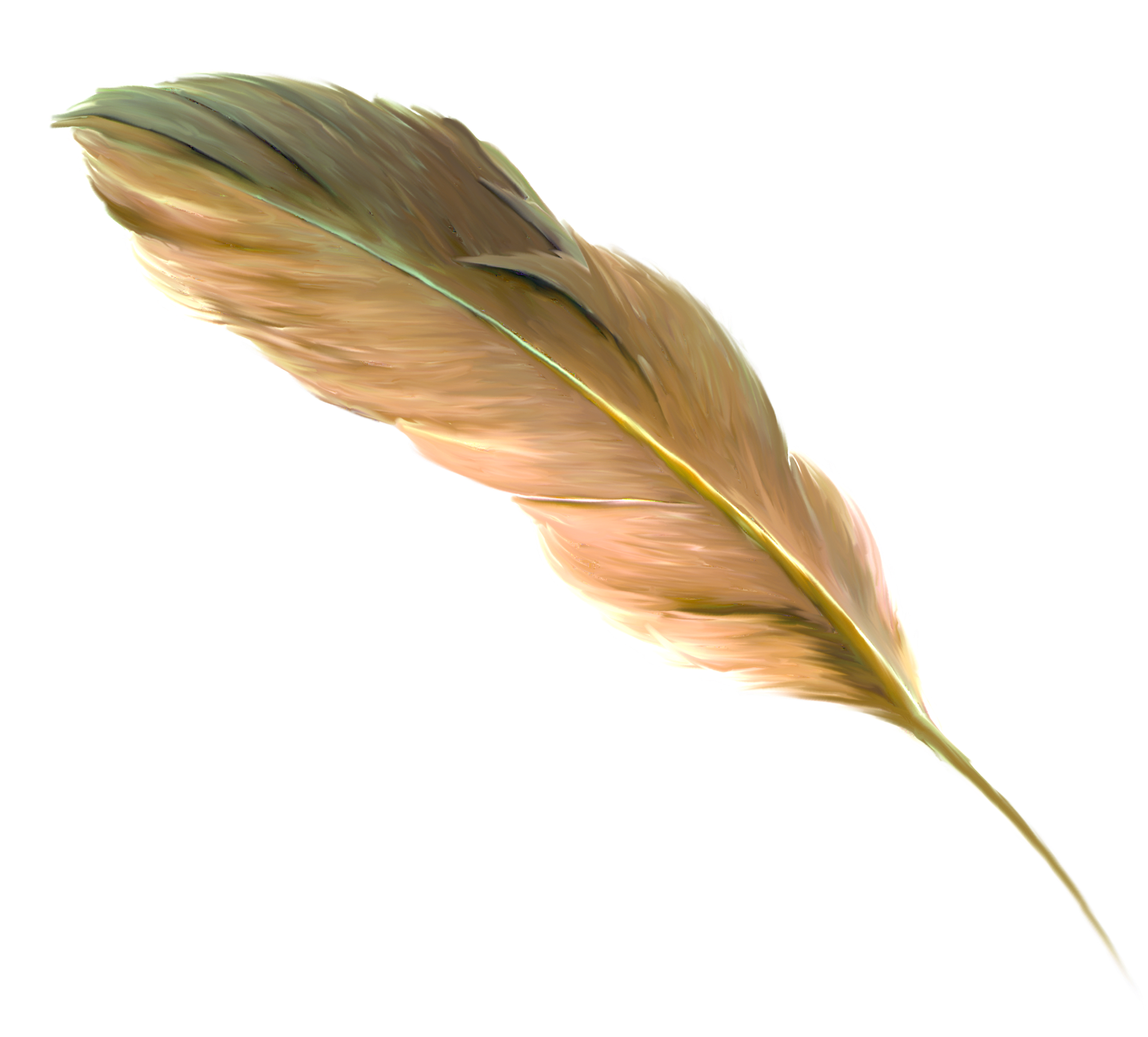 Feather Png Image Purepng Free Transparent Cc0 Png Image Library Images