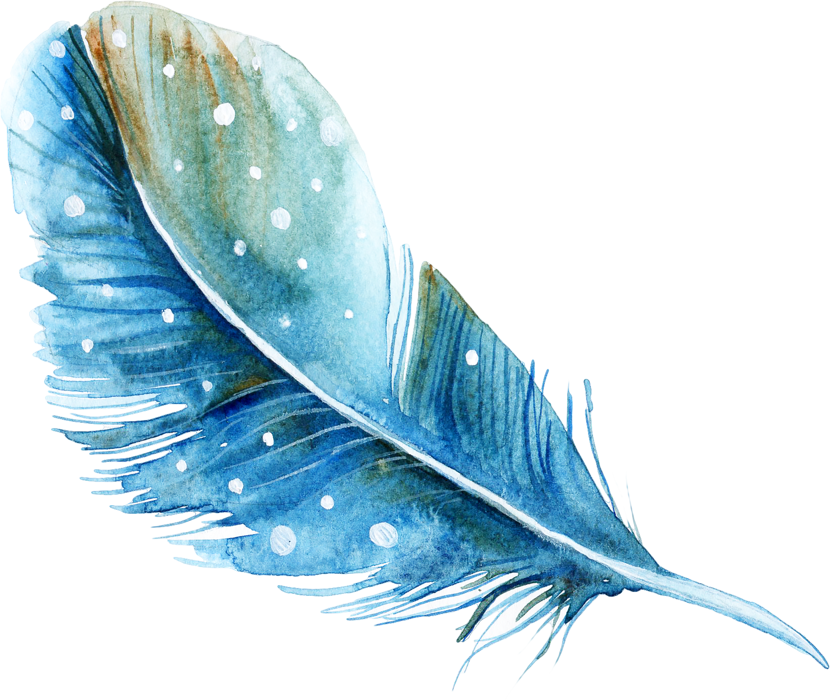 Feathers Clipart Pack Collection Digital Image Png Watercolor | My XXX ...