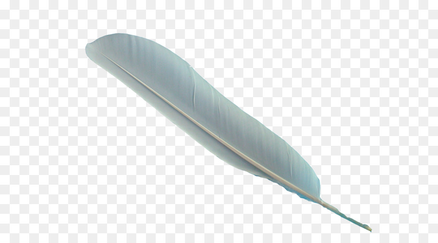 Feather - Feather PNG png download - 3264*2448 - Free Transparent Feather png Download.