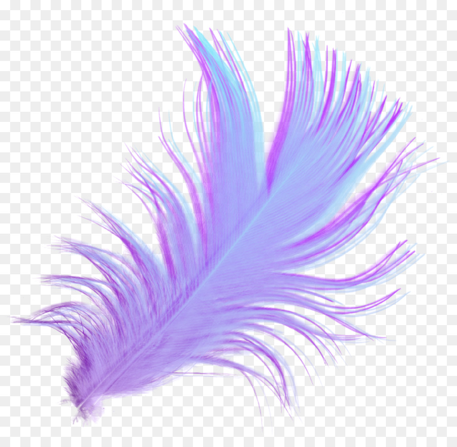 Feather Download Desktop Wallpaper Drawing Portable Network Graphics - feather painting png transparent background png download - 1920*1837 - Free Transparent Feather png Download.