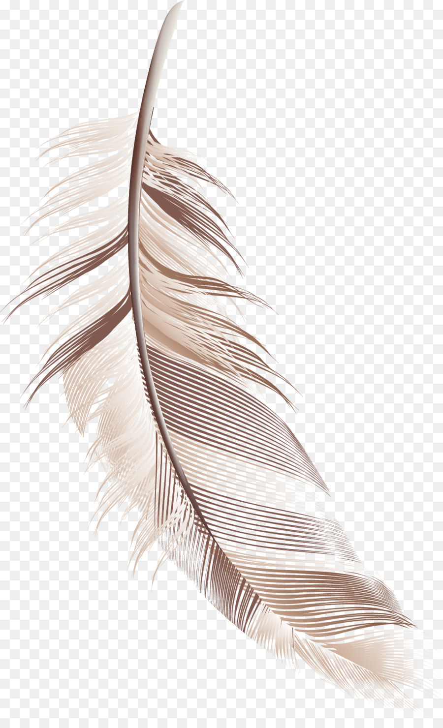 Feather - Cartoon feather material png download - 992*1610 - Free Transparent Feather png Download.