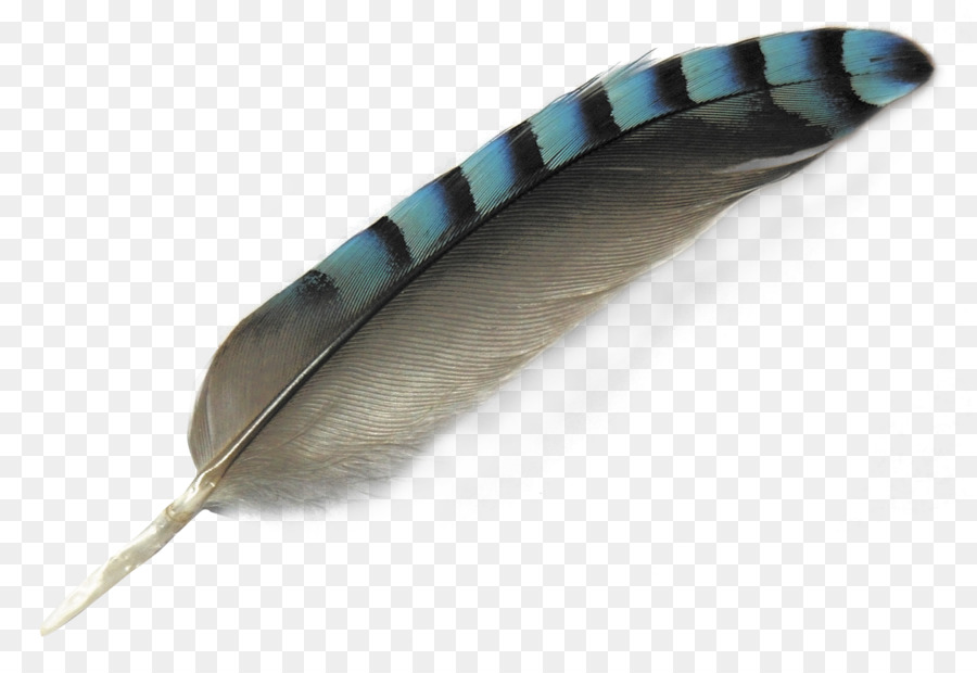 Bird Feather - Feather png download - 1744*1181 - Free Transparent Bird png Download.