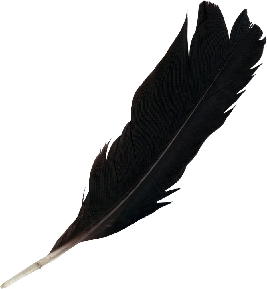 Feather Light - feather png download - 933*1008 - Free Transparent ...