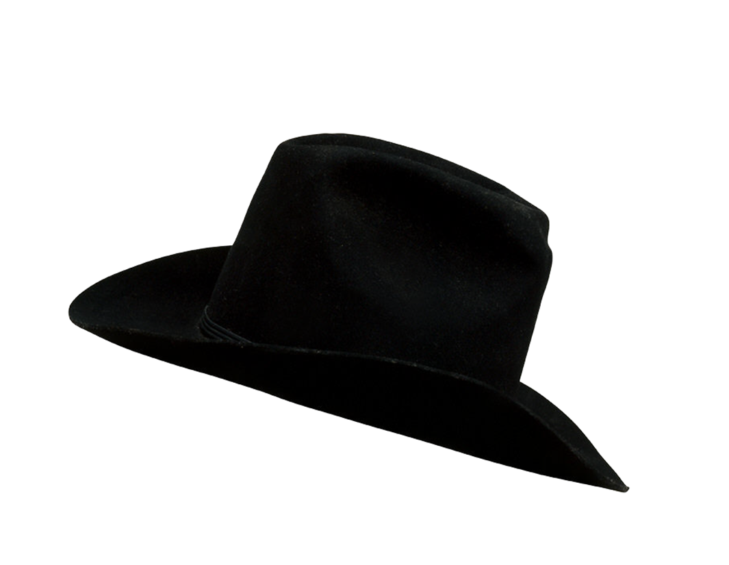 Fedora - Hat silhouette png download - 1065*825 - Free Transparent ...