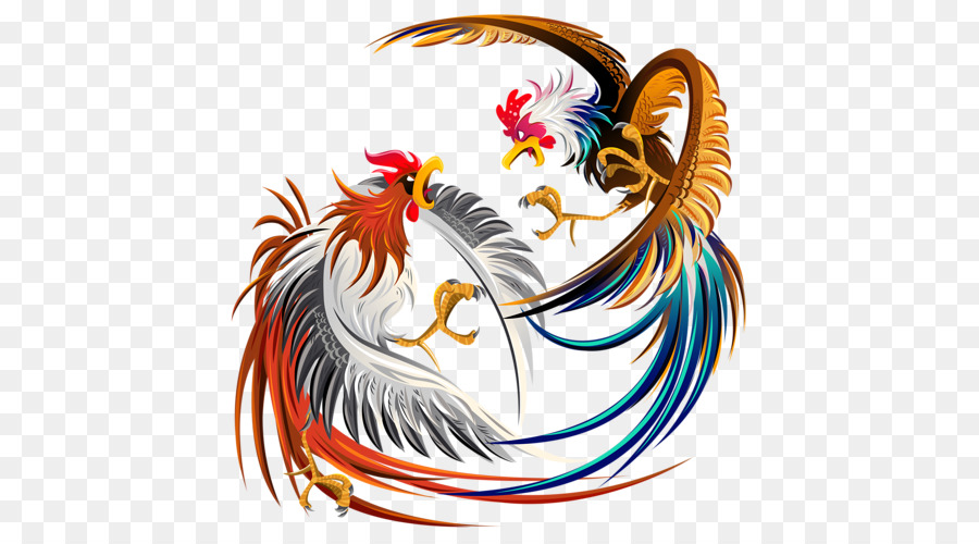 Cockfight Rooster Chicken Clip art - Cock fight png download - 500*500 - Free Transparent Cockfight png Download.
