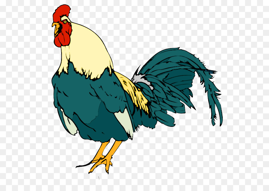 Rooster Chicken Clip art - rooster png download - 600*623 - Free Transparent Rooster png Download.