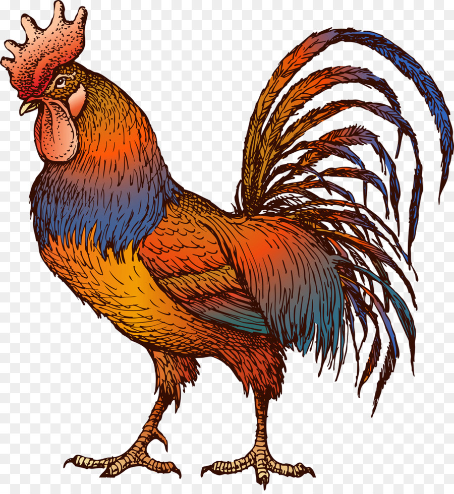 Chicken Rooster Clip art - fighting png download - 947*1024 - Free Transparent Chicken png Download.