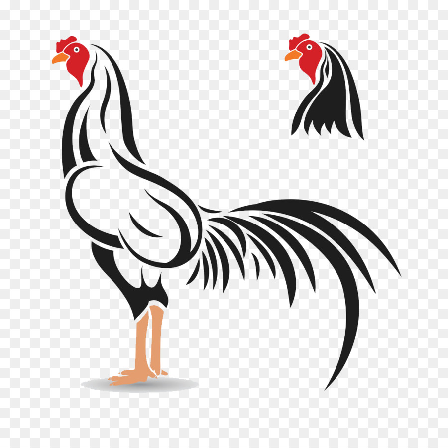 Cockfight Rooster Illustration - Black chicken png download - 1000*1000 - Free Transparent Cockfight png Download.