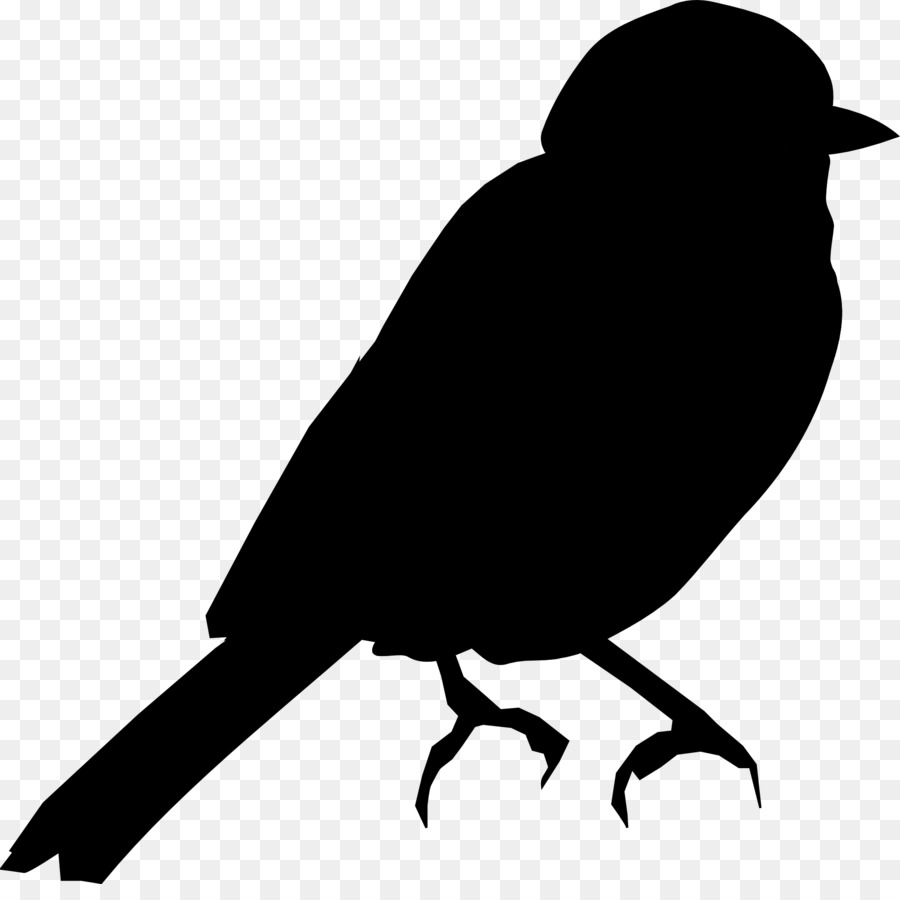 Bird Swallow Silhouette Clip art Illustration -  png download - 1920*1885 - Free Transparent Bird png Download.