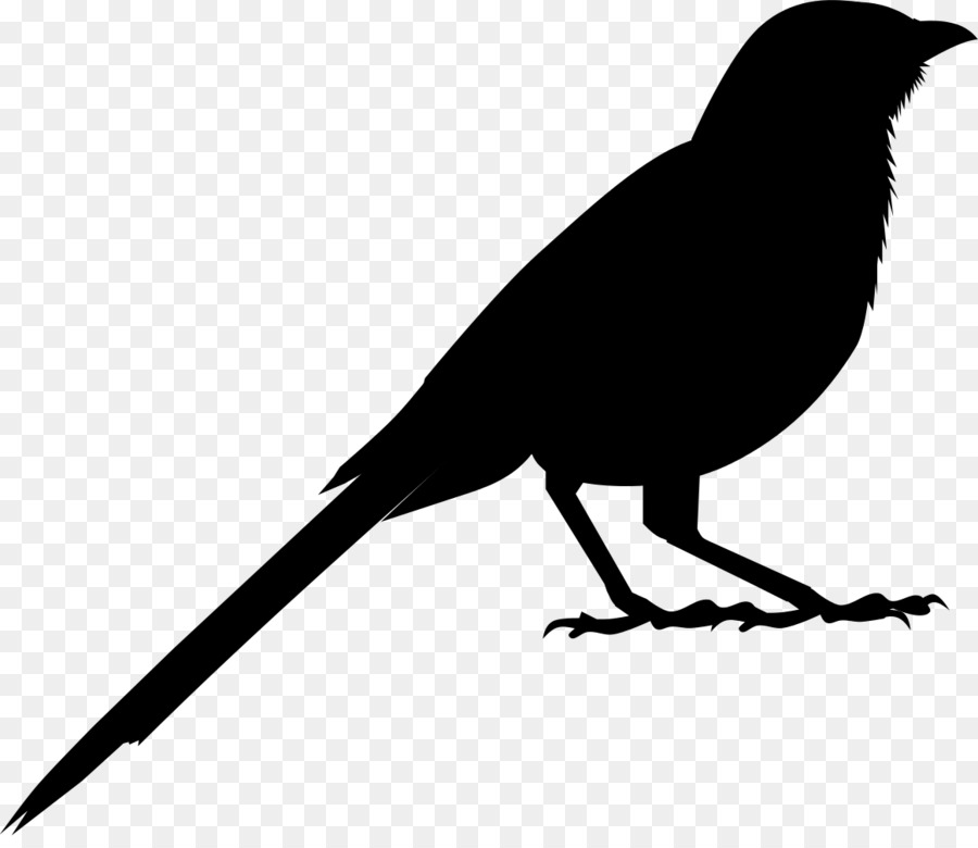 American crow Clip art Fauna Silhouette Common raven -  png download - 1164*994 - Free Transparent American Crow png Download.