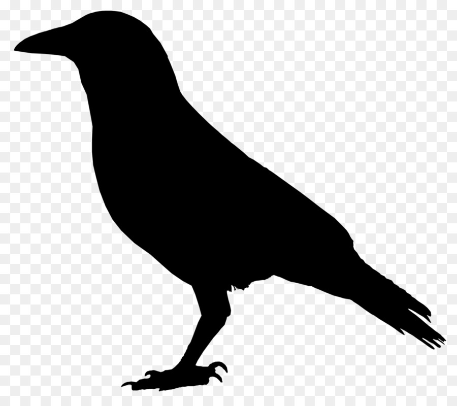 Crow Drawing Clip art - crow vector png download - 1024*898 - Free Transparent Crow png Download.