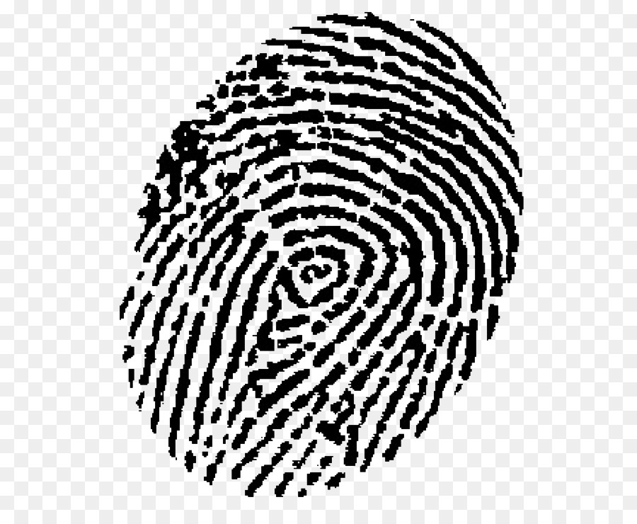 Automated fingerprint identification Device fingerprint Biometrics Fingerprint powder -  png download - 607*732 - Free Transparent Fingerprint png Download.