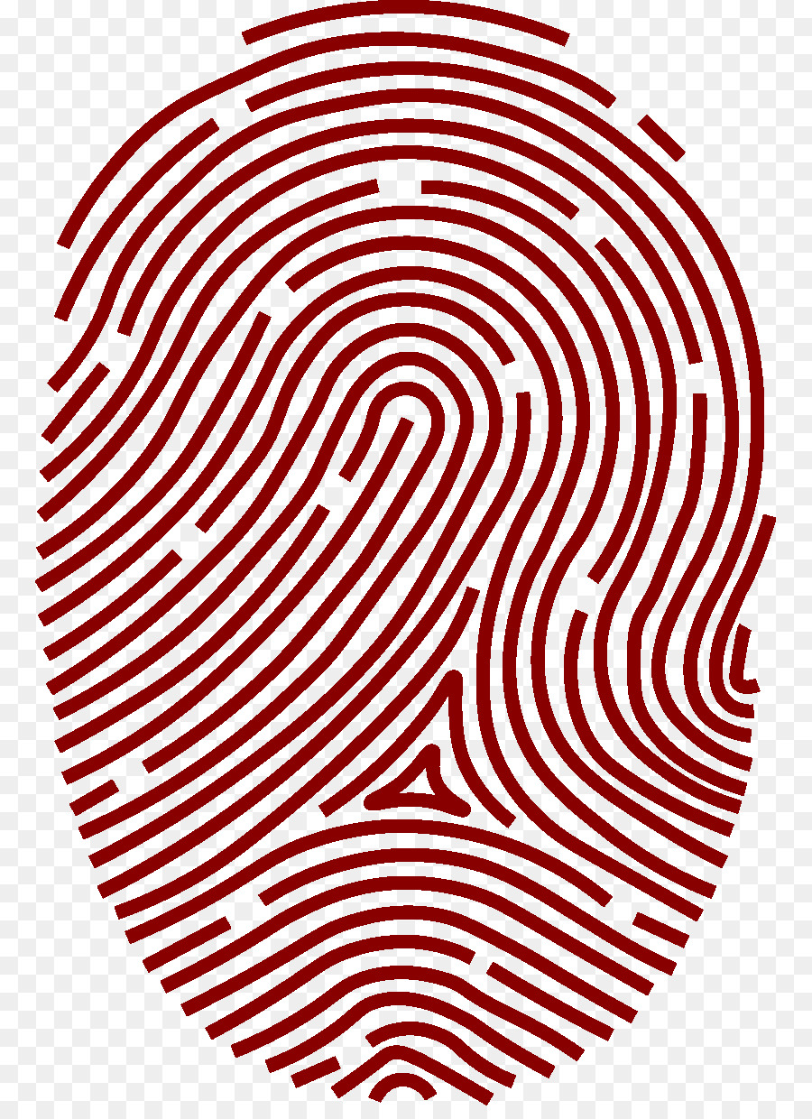 Fingerprint Clip art Vector graphics Biometrics Transparency - parmak izi png download - 821*1225 - Free Transparent Fingerprint png Download.