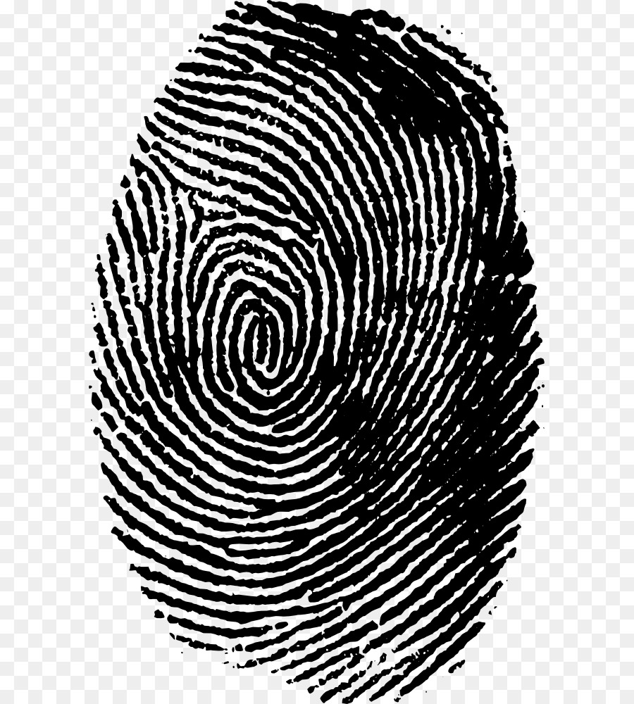 Fingerprint Clip art - finger png download - 647*1000 - Free Transparent Fingerprint png Download.